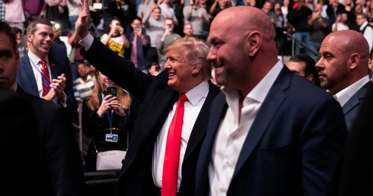 Как звезды UFC празднуют победу Трампа: «Истина и Бог победили в Америке»