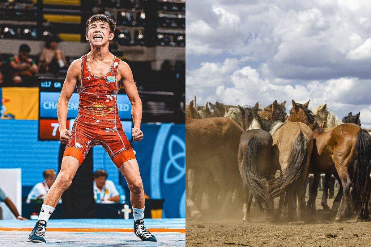 Табун лошадей подарили юному чемпиону за золотую медаль в Актобе