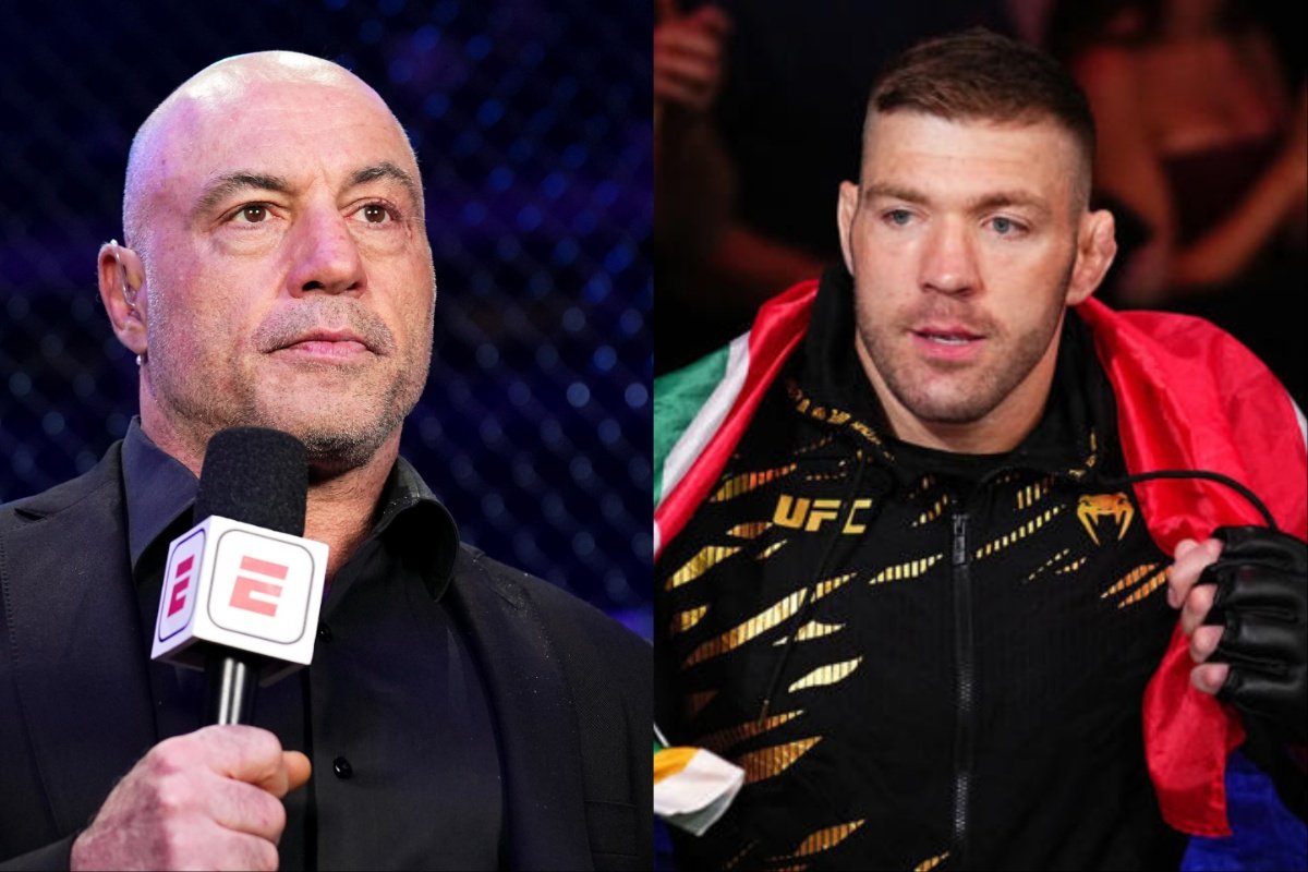 Эксперт UFC оценил шансы Дю Плесси в возможном реванше с Чимаевым