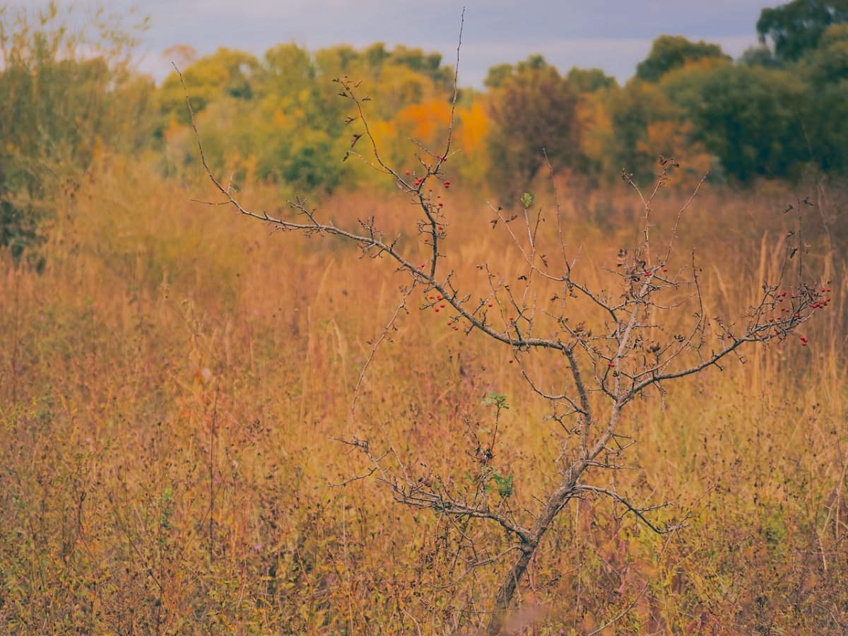 Какой будет погода в Казахстане 29 октября
