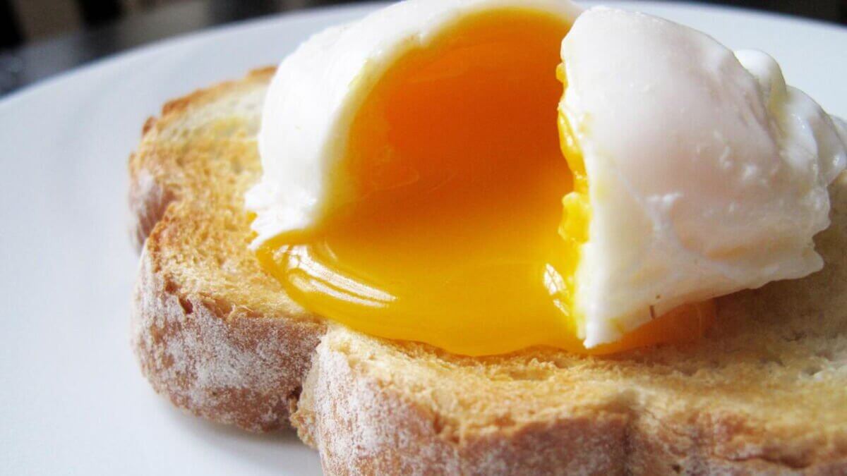 Что происходит с организмом, если есть одно яйцо в день