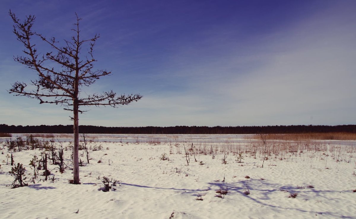 Прогноз погоды в Казахстане на 12 ноября – осадки и похолодание