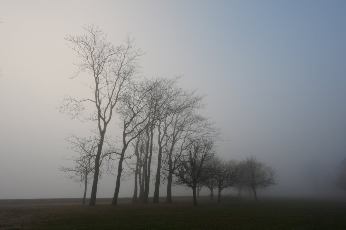 Погода на 20 ноября: туман, осадки и потепление на западе Казахстана