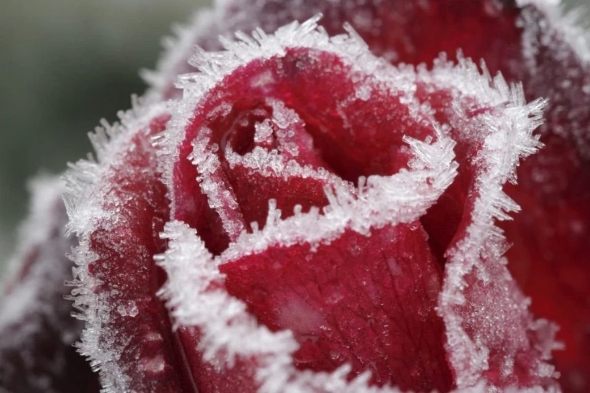 Испытание холодом: какой будет погода 7 декабря в Казахстане