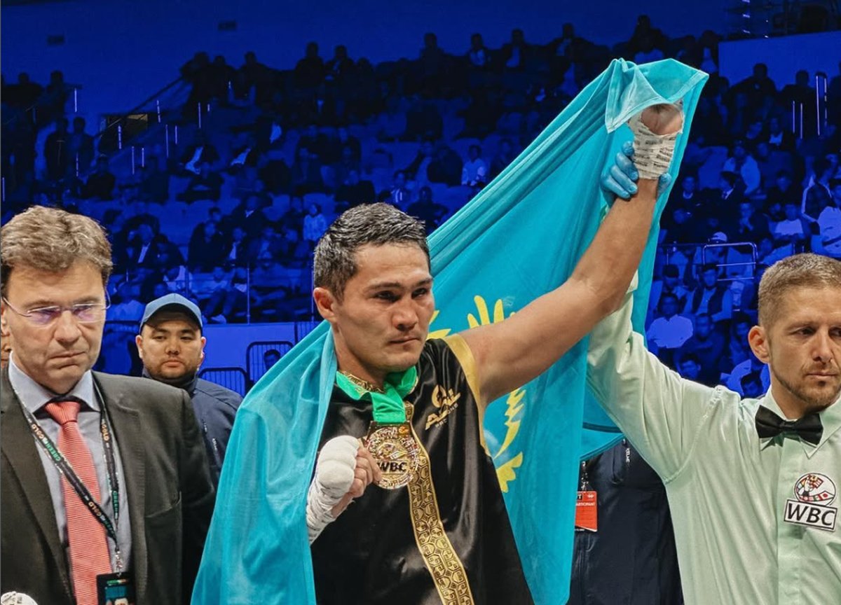 Эксперт оценил шансы Нурсултанова в бое с Адамесом