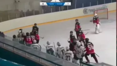 15-летние казахстанские хоккеисты устроили массовую драку (ВИДЕО)