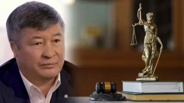 Сыну депутата Турлыханова дали два года ограничения свободы