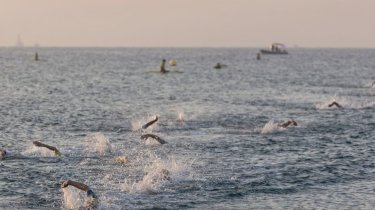 Трагический смерть триатлонистки на соревнованиях Ironman Barcelona