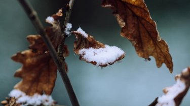 Прогноз погоды на 10 октября: спортивные советы и здоровье