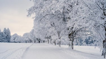 Прогноз погоды для городов Казахстана: как защититься от холода и простуд