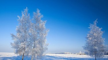 Ноябрьский день без осадков: что учесть в вашем регионе?