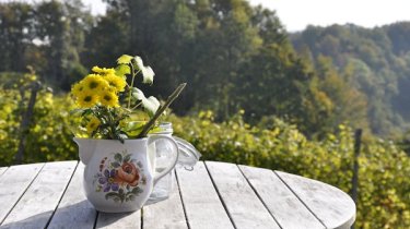 Солнце и грозы: прогноз на неделю для Алматы