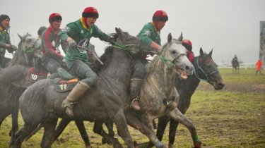 Определена лучшая область Казахстана в кокпаре