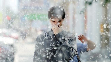 Сезон аллергии в Казахстане: как защитить себя от пуха и пыльцы