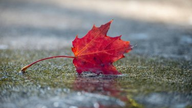 Какой будет погода в Казахстане 17 октября