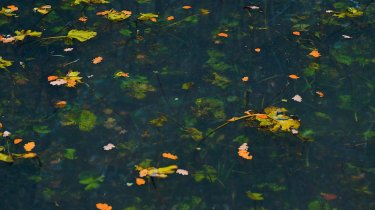 Какой будет погода в Казахстане 18 октября