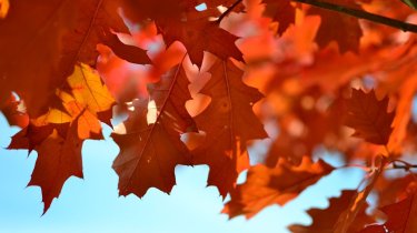 Какой будет погода в Казахстане 22 октября