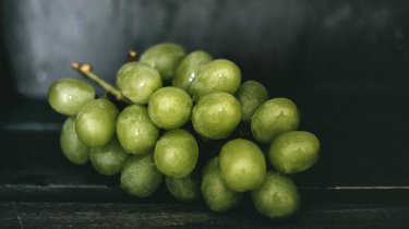 Ученый развеял миф об опасности забытого в Казахстане винограда