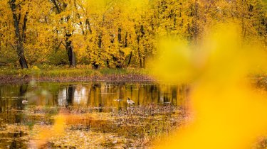 Погода в Казахстане на 24 октября: без осадков и по-осеннему прохладно