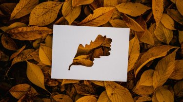 Какой будет погода в Казахстане 25 октября