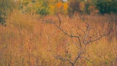 Какой будет погода в Казахстане 29 октября