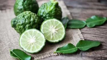 Ученые нашли природное средство против жировой болезни печени