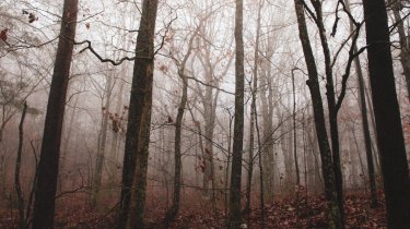 Какой будет погода в Казахстане 4 ноября