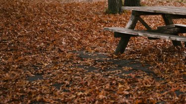 Прогноз погоды в Казахстане на 6 ноября: снег на севере, туманы на юге, морозы на востоке