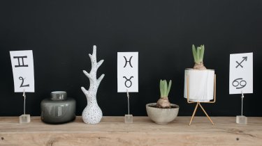 Гороскоп на 11 ноября: день, когда усилятся умственные способности