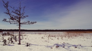 Прогноз погоды в Казахстане на 12 ноября – осадки и похолодание