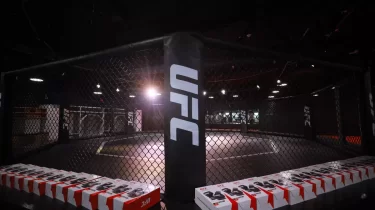 В Казахстане дали зелёный свет турниру UFC