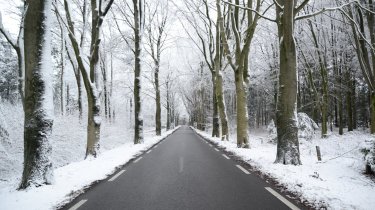 Прогноз погоды в Казахстане на 18 ноября: туман на севере и западе