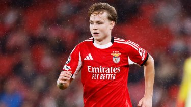 Футболиста сборной Норвегии приговорили к условному сроку