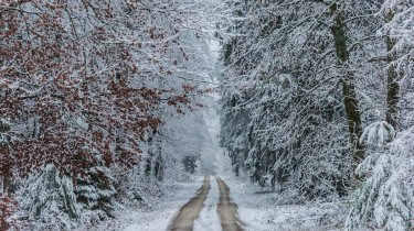 Туман на севере, осадки в центре: прогноз погоды Казахстана на 4 декабря