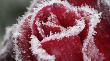 Испытание холодом: какой будет погода 7 декабря в Казахстане