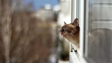 Прогноз погоды в Казахстане на 28 декабря: почему мегаполисы ждет аномалия