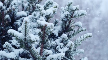 Туманы и гололедица: прогноз погоды в Казахстане на 3 января