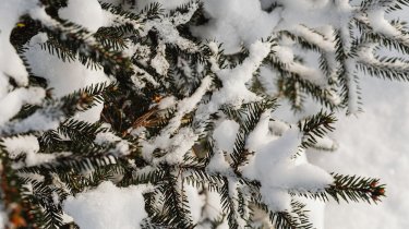 Метели на востоке и туманы на западе ожидаются в Казахстане