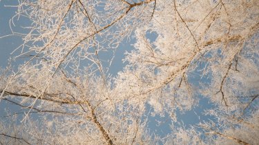 Мороз и густой туман накроют Казахстан