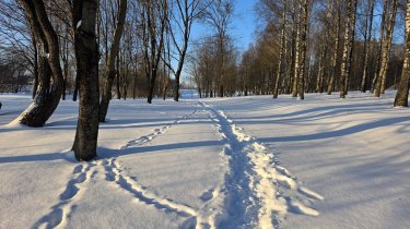 Резкое похолодание и штормовой ветер придут в Казахстан