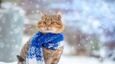 Экстремальные холода в Казахстане: штормовое предупреждение по регионам