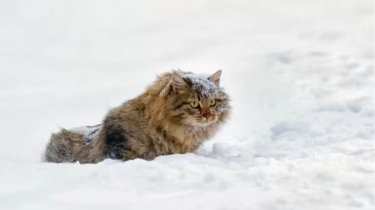 От −35 градусов до опасного гололеда: Прогноз погоды на 25 января