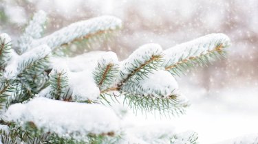 Снежный циклон и штормовое предупреждение: погода в Казахстане 28 января