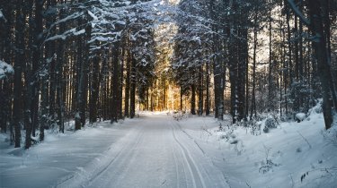 Снег, туман и гололед: какой будет погода в Казахстане 31 января