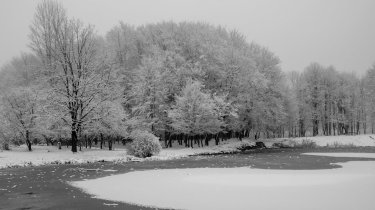 Гололедица и туманы: прогноз погоды в Казахстане на 7 февраля
