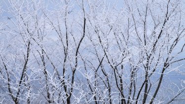 Циклон из Финляндии идет на Казахстан: погода на 17 февраля