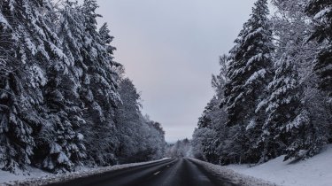 Весеннее тепло на юге и метели на севере: прогноз погоды на 18 февраля