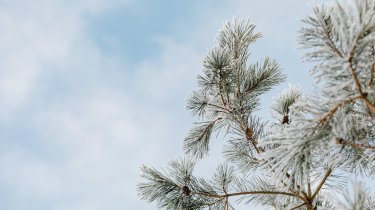 Рекорды тепла на юге и метели в центре: прогноз погоды на 19 февраля