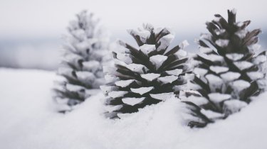 Потепление на юге и метели на западе: прогноз погоды в Казахстане на 20 февраля