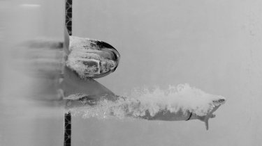 Бойкот в Милане: Чехия отказалась от знаменосцев на Паралимпиаде-2026